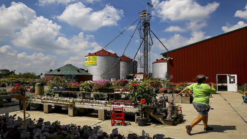 Siegel’s Cottonwood Farm in Crest Hill closes garden center