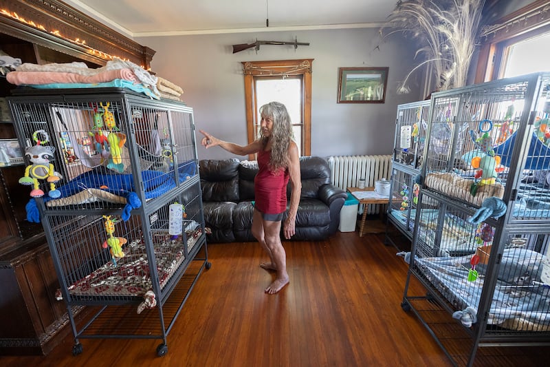 Jane Hochstatter has several cages inside of her home as seen Thursday, June 26, 2025. The animal rescuer is losing the home and property as the landlord is selling the place.