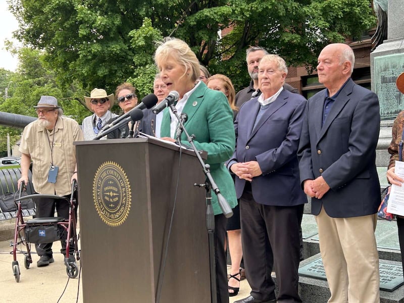 Kane County Board Chairman Corinne Pierog speaks at a news conference Friday about proposals the state legislature is considering regarding funding and organizing mass transit in Chicago and its suburbs.
