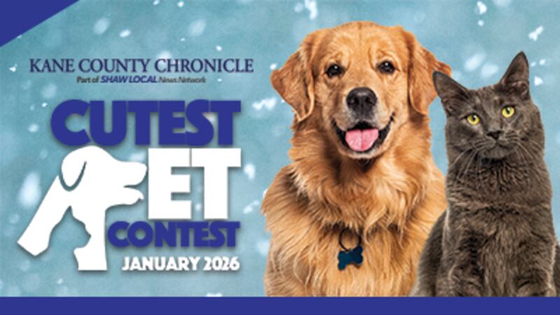 January Cutest Pet Contest!