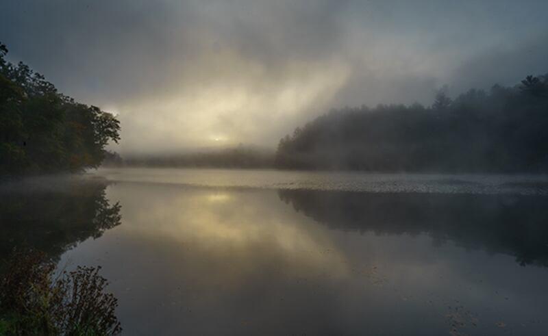 "Awakening" by Ernest J. Schweit