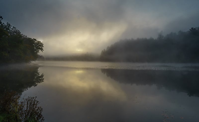 "Awakening" by Ernest J. Schweit