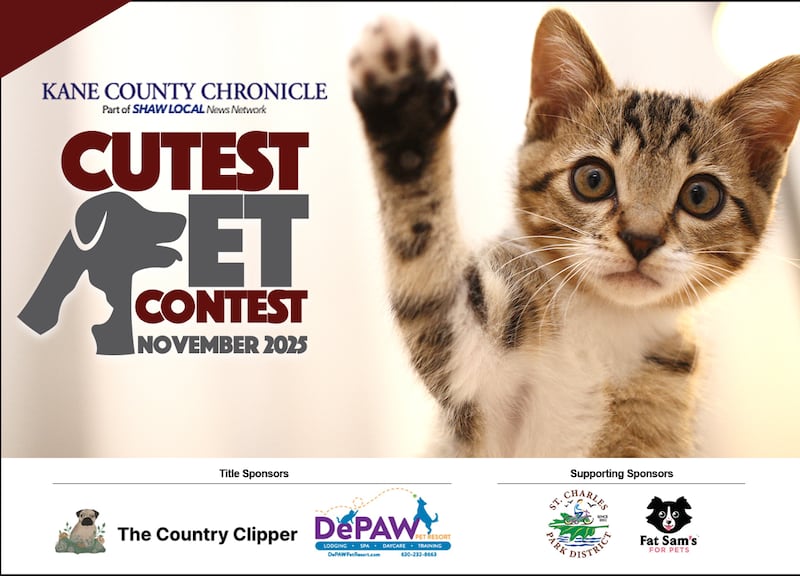 Kane County November Cutest Pet