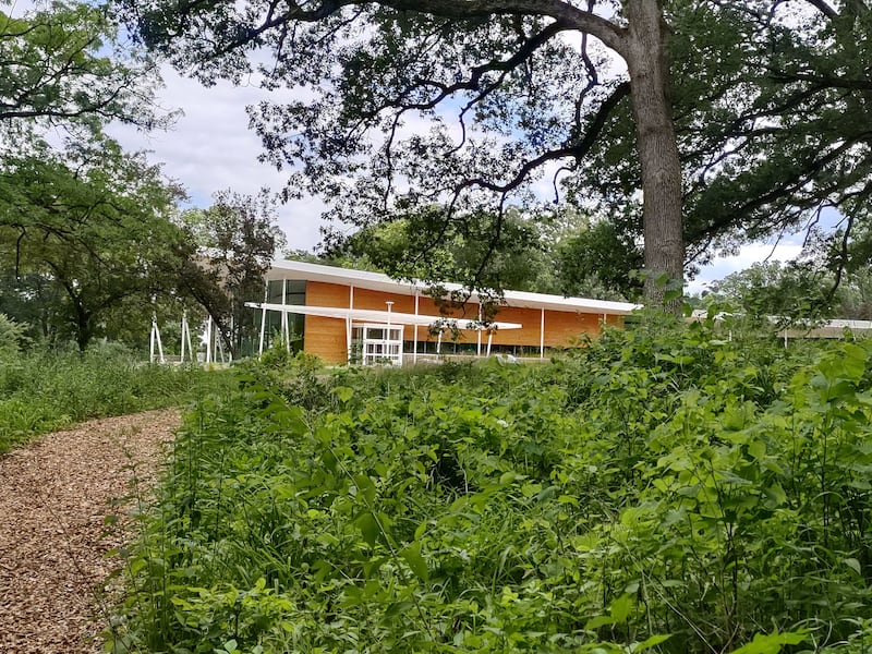 The Ecology Building can be seen through the trees and woodland undergrowth along a trail at Nell's Woodland in Ottawa.
