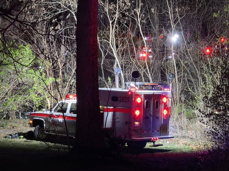 A Coal City man died Saturday after his car veered off a road and went into Nettle Creek in Morris.