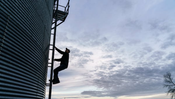 Grain storage capacity growth stagnant: agricultural economist