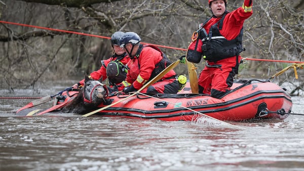 Horse rescued from floodwaters near Marengo after hours-long effort