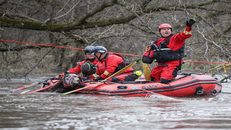 Horse rescued from floodwaters near Marengo after hours-long effort