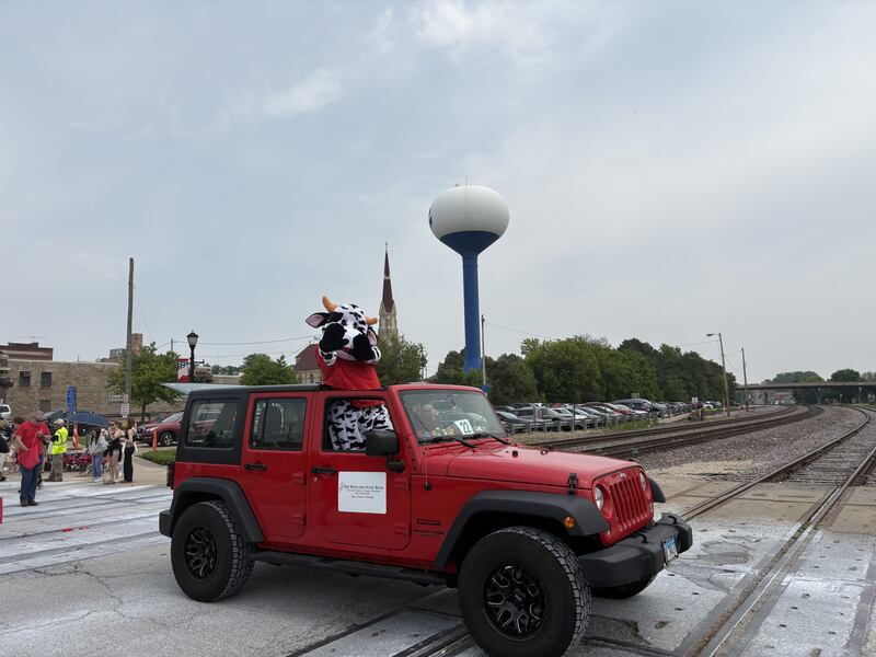 A cow mascot riding in a Harvard State Bank-themed Jeep waves during the Harvard Milk Days parade June 7, 2025.