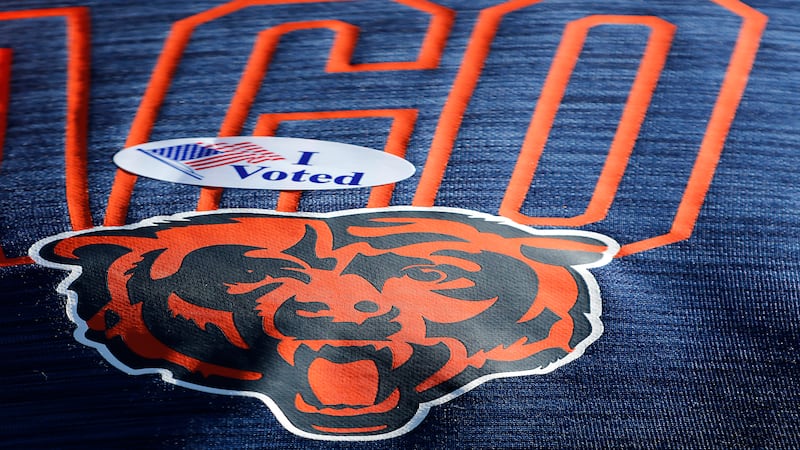 Election 2026: Sample ballots now available in McHenry County for primary election voting