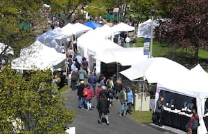 Art in Wilder Park returns to Elmhurst in May