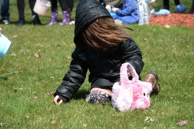 A little wind didn't stiop this girl from grabbing Easter eggs and candy at the Forreston Lions and FABA's Easter Egg Hunt at Memorial Park in Forreston on Saturday, March 30, 2024.