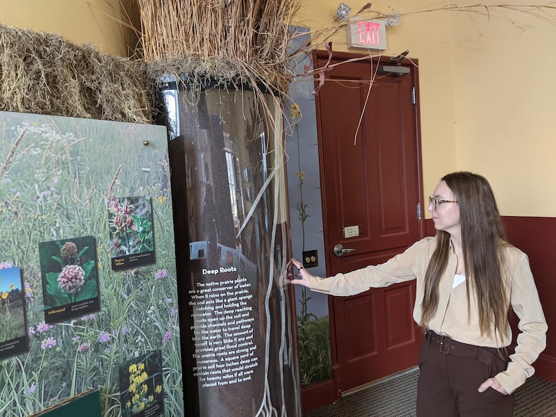 Kendall County Forest Preserve District Executive Director Antoinette White stands in front of an exhibit at the Laws of Nature Center, which is located in the offices of the Kendall County Forest Preserve District in the Kendall County Historic Courthouse.
