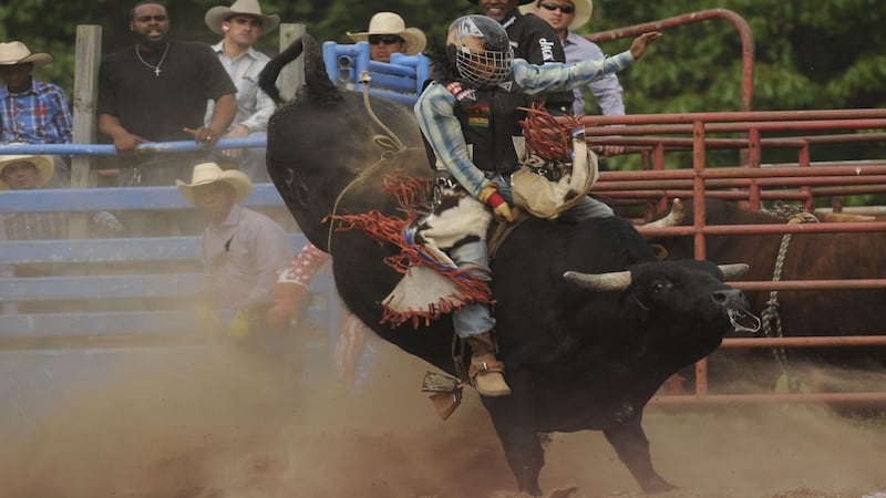 5 Things to Do in Kankakee County: Pembroke Rodeo, Thursday Harvest Hang at Locavore Farm