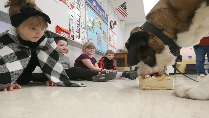 Photos: Happy 2nd birthday to Peru's finest four-legged officer Haven