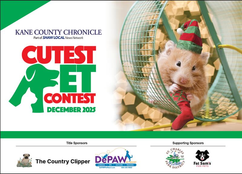 Kane Cutest Pet Contest