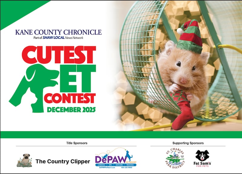 Kane Cutest Pet Contest