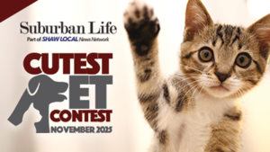 Suburban Life November Cutest Pet 