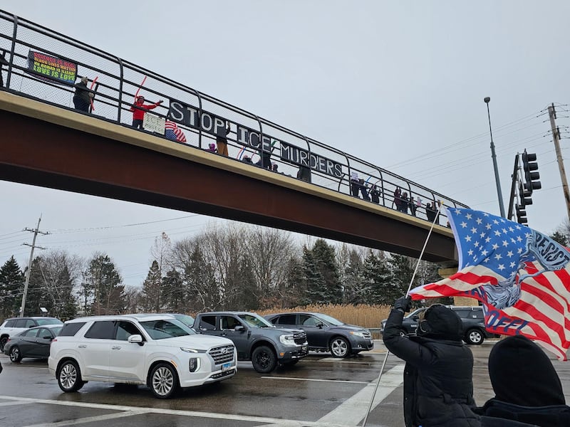About 200 people protested on Randall Road in South Elgin Sunday, Jan. 25, 2026 against the latest ICE killing in Minnesota of Alex Pretti, an ICU nurse.