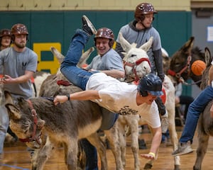Photos: Hooves on the hardwood as donkey basketball takes over Seneca