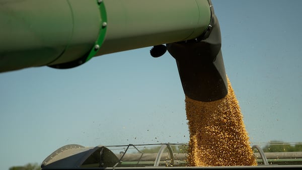 2025 corn crop yield report points to good year for Carroll, Lee Whiteside counties