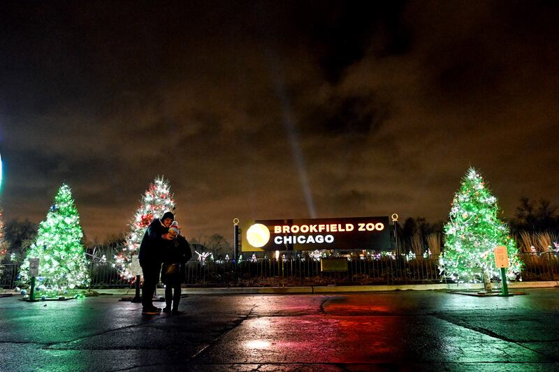 Holiday Magic events return to Brookfield Zoo Chicago throughout the 2025 holiday season.