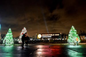 Discover Holiday Magic along Route 66 at Brookfield Zoo