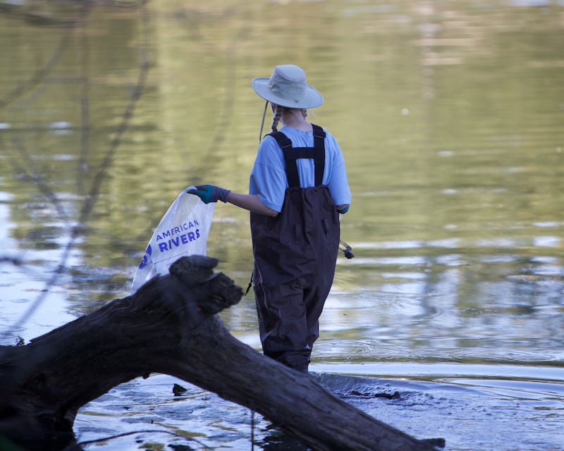 Volunteers take part in cleaning up along the Fox River on Saturday, Sept. 21,2024 in St. Charles.