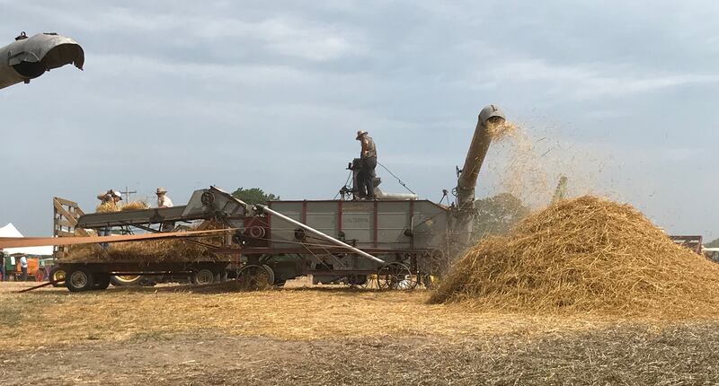 The Bos Brothers Farm near Erie will demonstrate how a thresher works during its Old Fashioned Threshing Bee July 25-27.