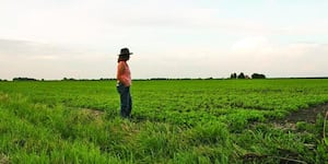 University of Illinois Extension new program helps farmers feeling financial, mental health stress