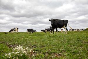 Congress advances whole milk bill