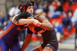 Romeoville’s Daniela Santander overcomes season-long injury to win regional championship