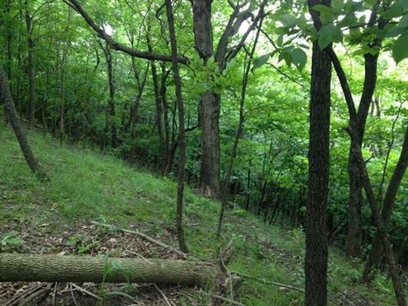 Kane County Forest Preserve District