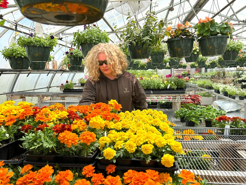 Forreston FFA member Adam Wubbena tends to plants during the FFA's Greenhouse sale on Saturday, May 3, 2025. The greenbouse has flowers and vegetable plabts for sale and is located behind Forreston High School.