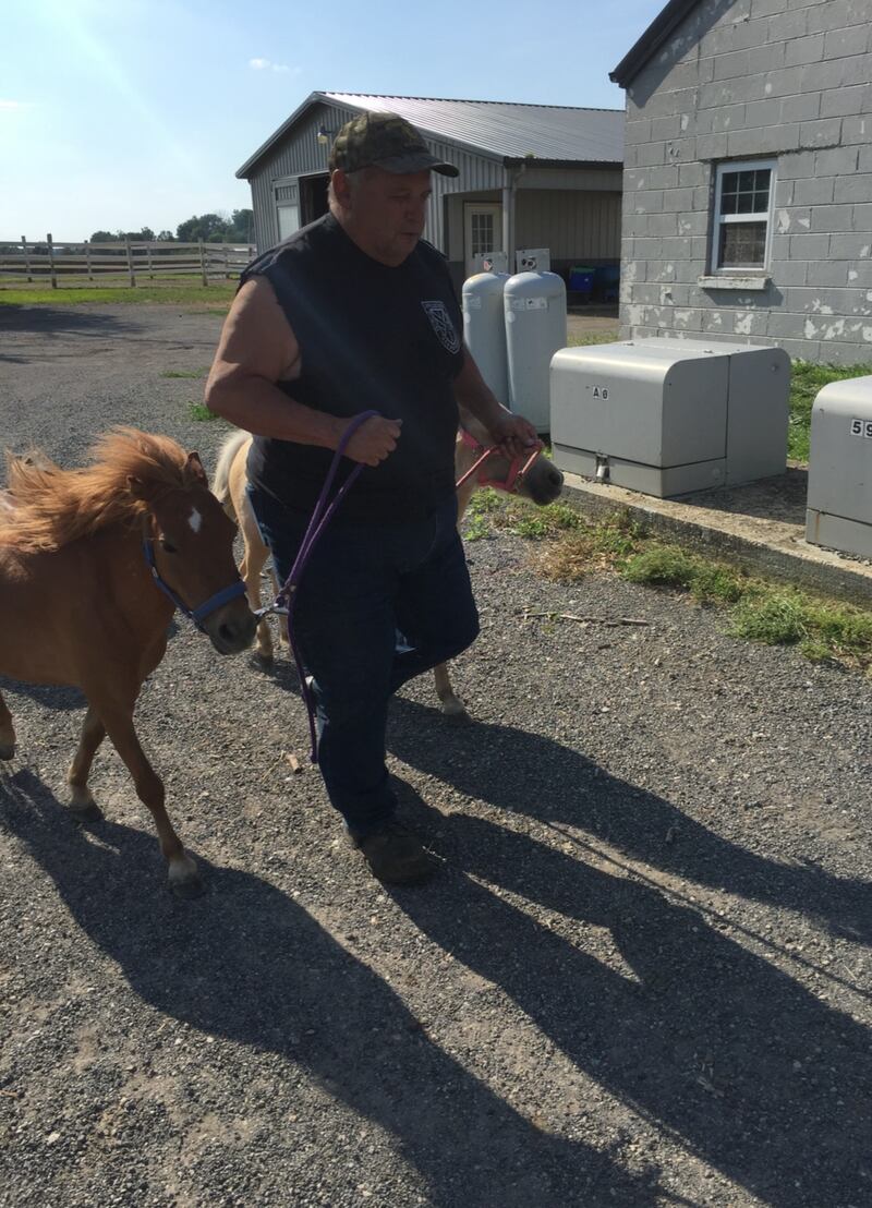 Nick LaLuna is working with horses at his family's LaLuna Farms boarding facility.
