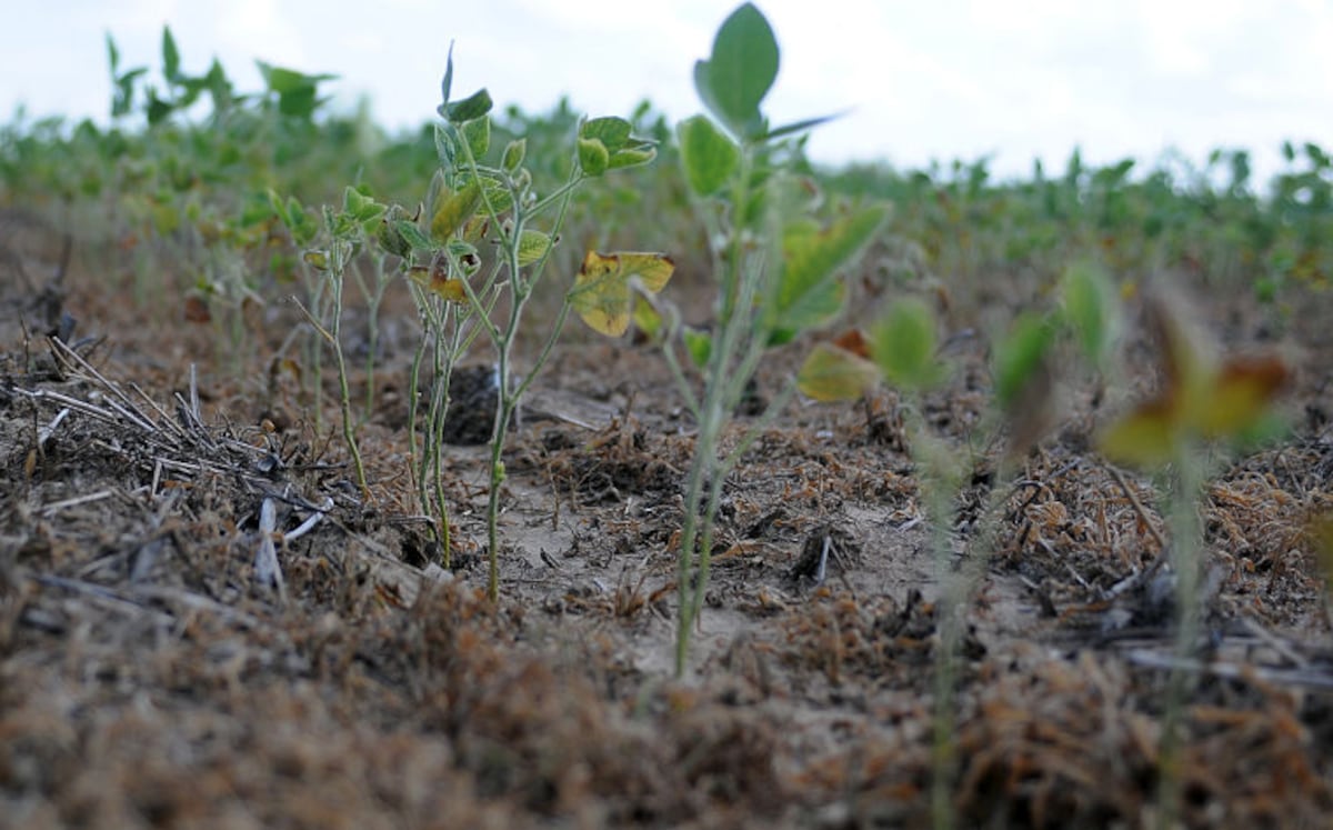 Northern Illinois isn’t in a drought anymore, but it’s still dry