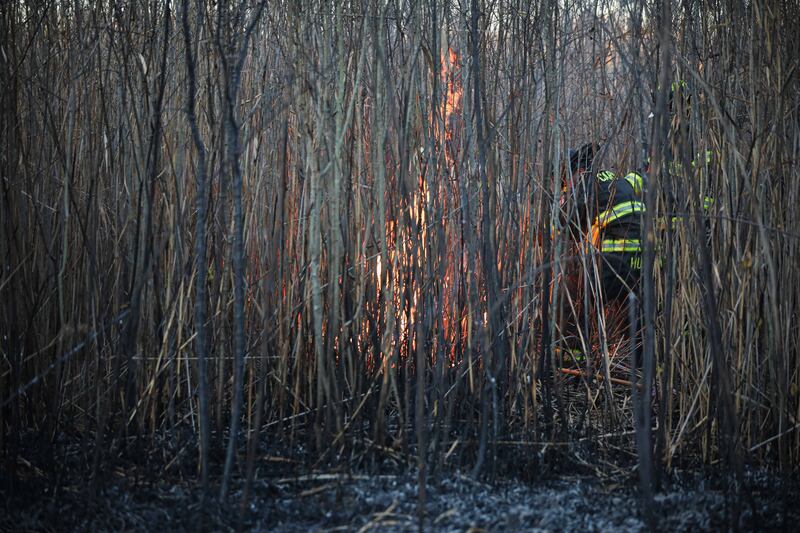 Nearly four acres of marshland burned near Cary Nov. 15, 2025.