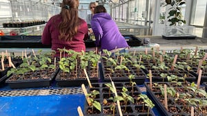 Photos: Preparing for the Great Seed and Soil Event at McHenry County College