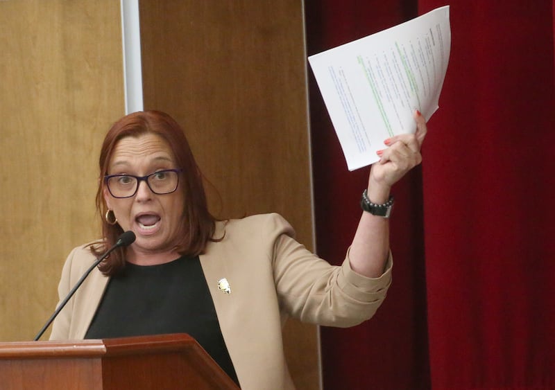 State Rep. Amy “Murri” Briel, D-Ottawa, speaks to the Illinois Health Facilities and Services Review Board during a public hearing regarding OSF St. Elizabeth Hospital's plans to reduce services on Tuesday, June 10, at Central Intermediate School in Ottawa.
