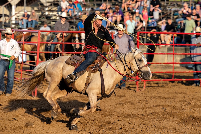Wiley Hanathin works to rope his calf Thursday, August 7, 2025, at Carroll County Fair’s T and A Bucking Bulls Rodeo.