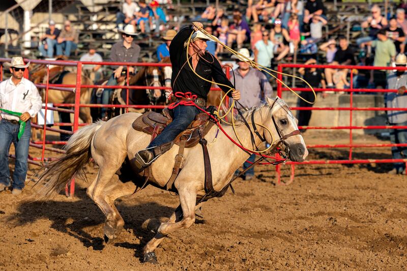 Wiley Hanathin works to rope his calf Thursday, August 7, 2025, at Carroll County Fair’s T and A Bucking Bulls Rodeo.