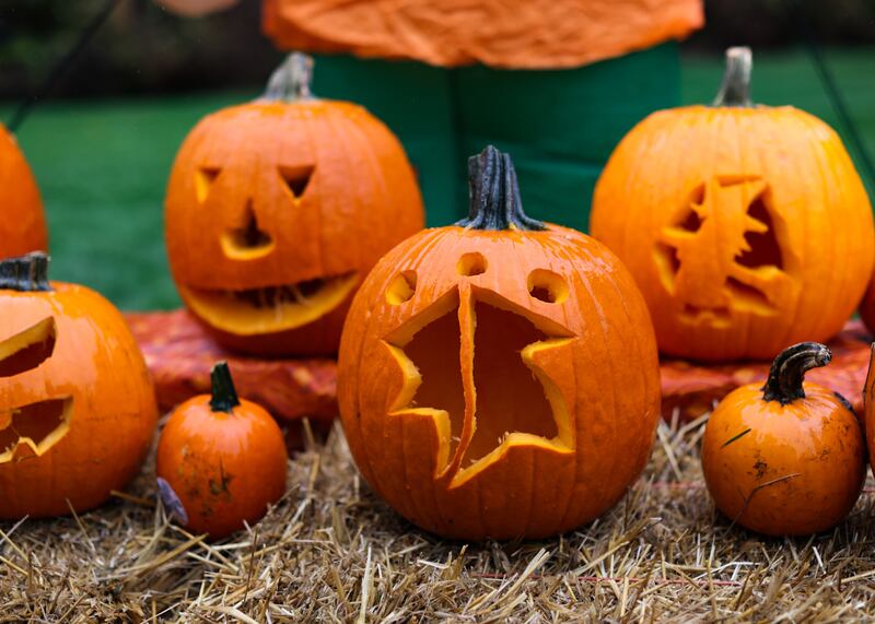 The Glen Ellyn Park District invites the community to Pumpkins on Main, a display of jack-o'-lanterns at the Main Street Recreation Center from Oct. 27 to 31.