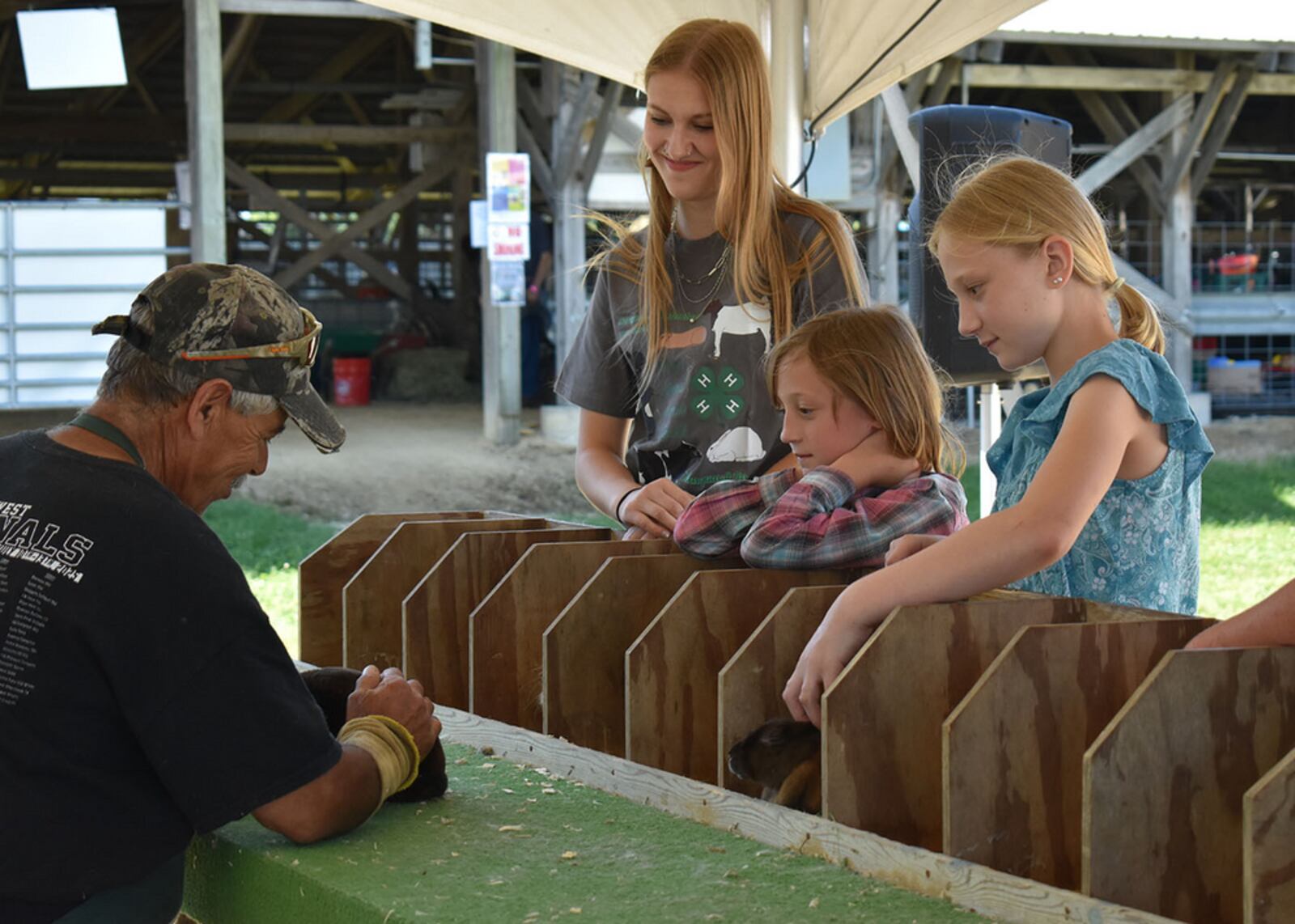 The Rabbit Department 2026 Ogle County Fair rabbit department winners named – Shaw Local