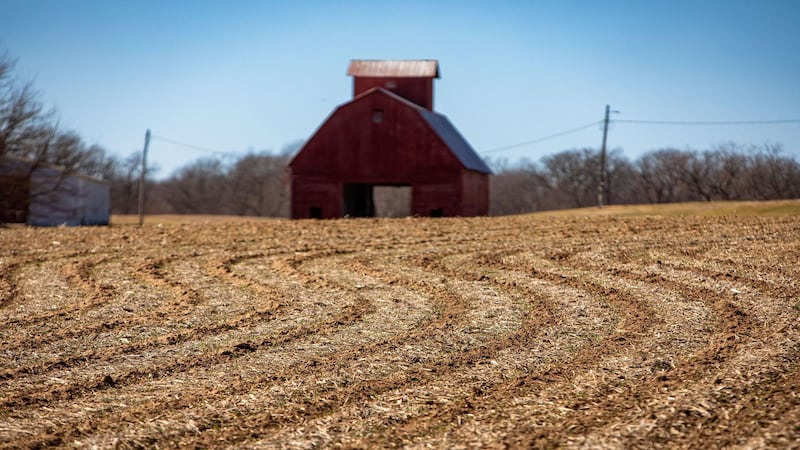 Crop markets watching Iran war implications