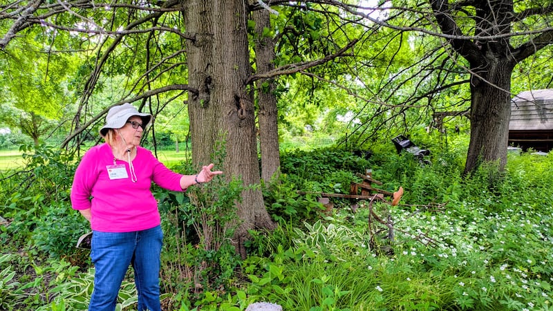 Gardening group hosts tours in DeKalb