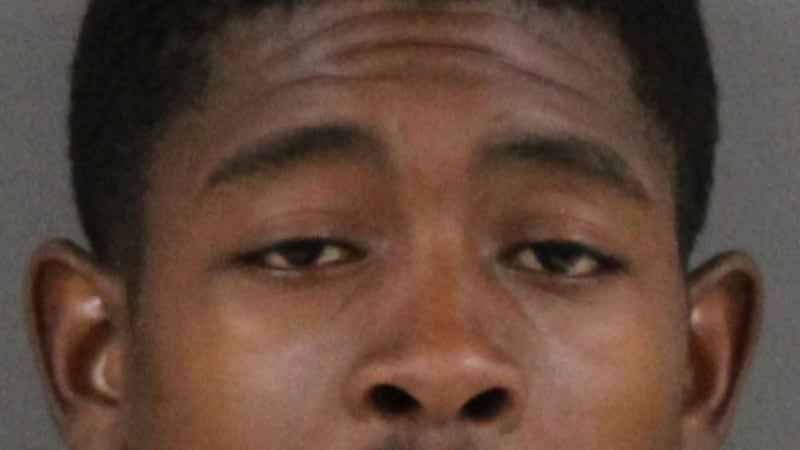 Sterling man sentenced to 13 years in prison in drug, weapons cases