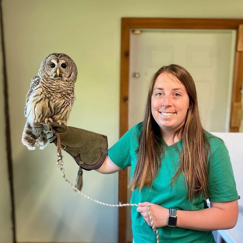 Hannah Pannell Edfors