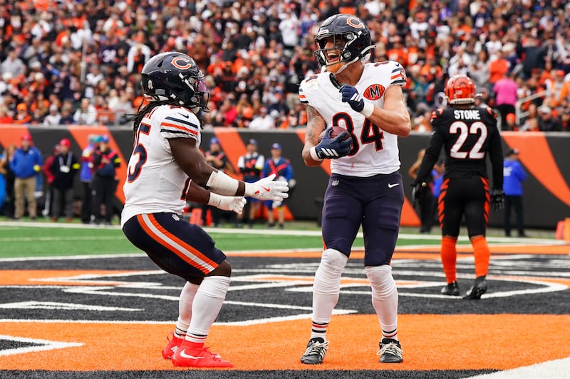 Chicago Bears tight end Colston Loveland (84), right, celebrates his touchdown with running back Kyle Monangai (25) during the second half of an NFL football game against the Cincinnati Bengals, Sunday, Nov. 2, 2025, in Cincinnati. (AP Photo/Jeff Dean)