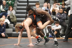 Herald-News boys individual state wrestling preview: 78 athletes aiming for titles