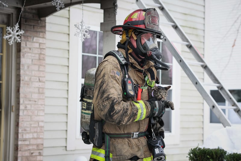 The Huntley Fire Protection District rescue two dogs and a cat, and another cat remains missing after a house fire broke out on Dec. 1, 2025 in Huntley.